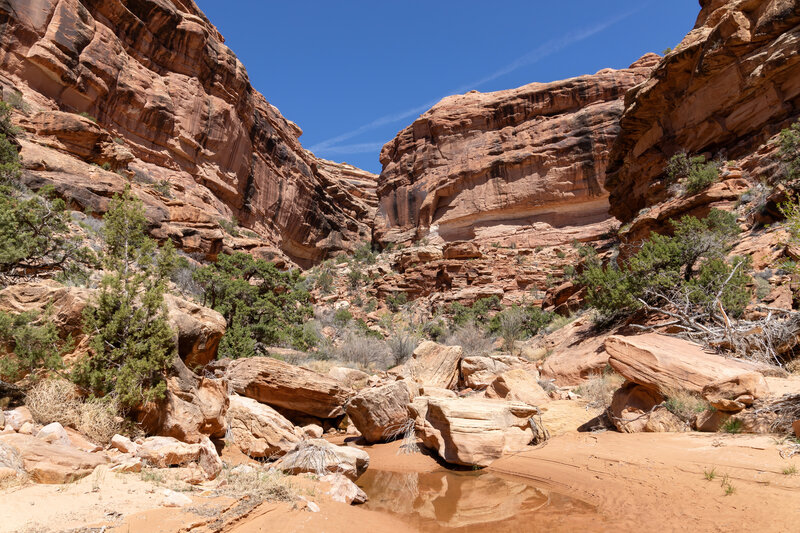 Occasional pools of water in Lower Slickhorn Canyon.