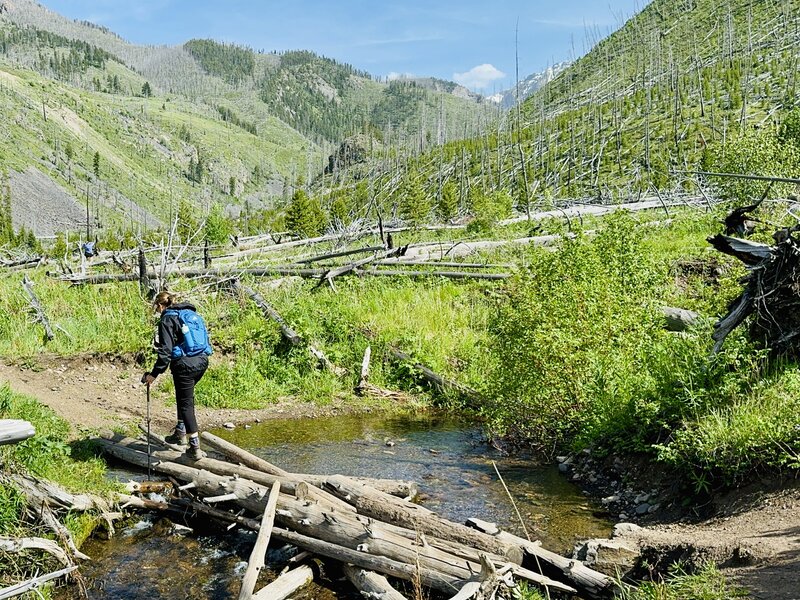 Non-technical stream crossing on Wallace Pass Trail.