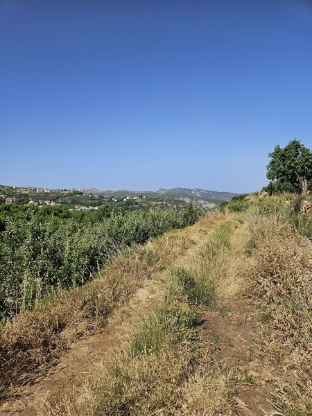 Looking down the valley.