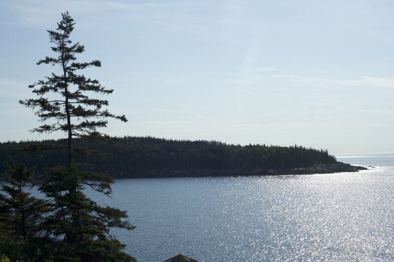 Views from the end of the Ocean Path trail toward Otter Point.