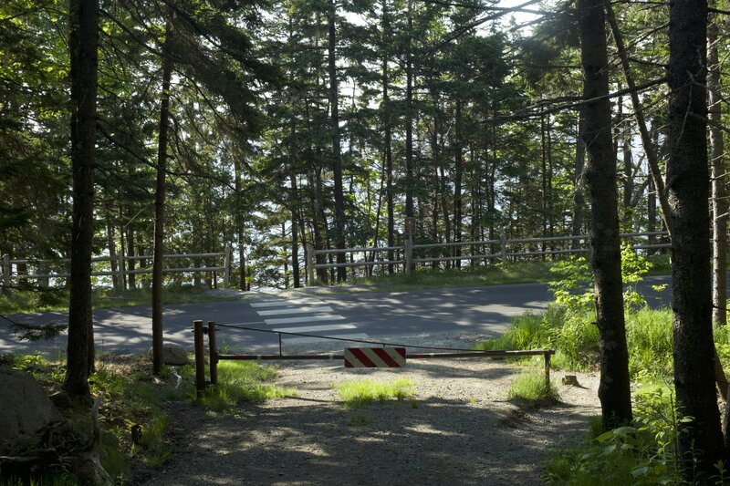 The trail emerges at the Park Loop Road, where there is a marked crossing that allows you to cross safely and enjoy great views of the ocean.