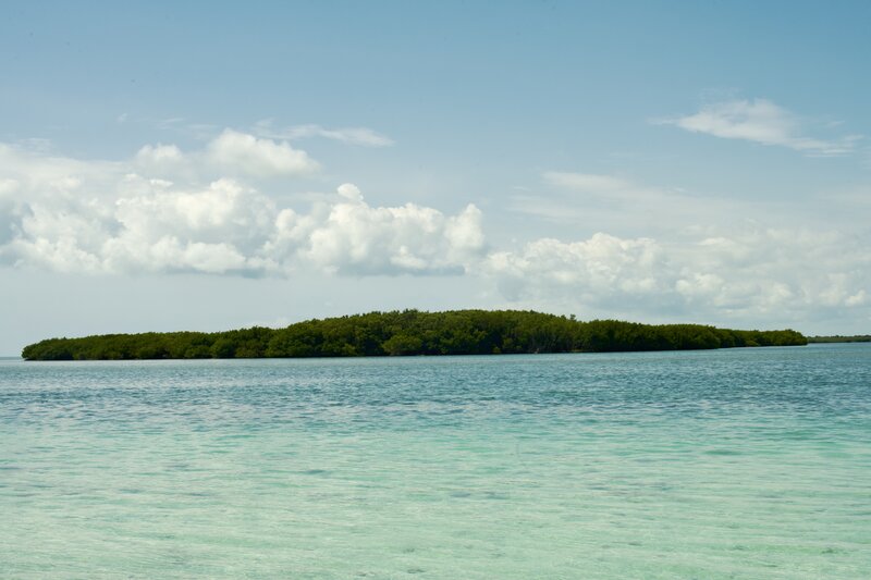 Views of surrounding keys can be enjoyed from the trail.