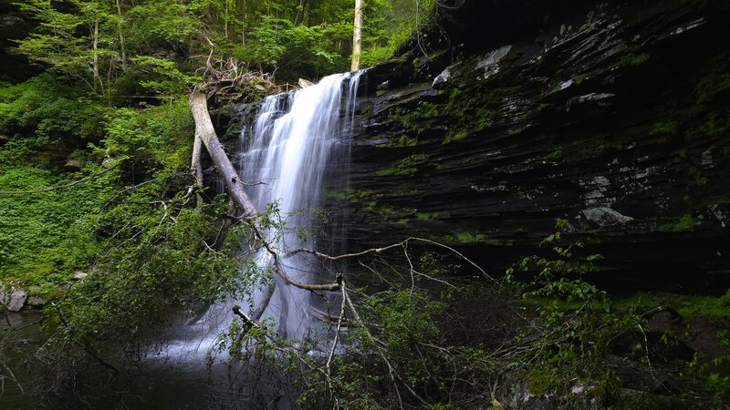 Harrison Wright Falls