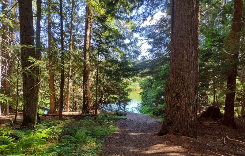 First glimpses through the trees, of the Thorofare, a wide, calm creek connecting Priest Lake and Upper Priest Lake.