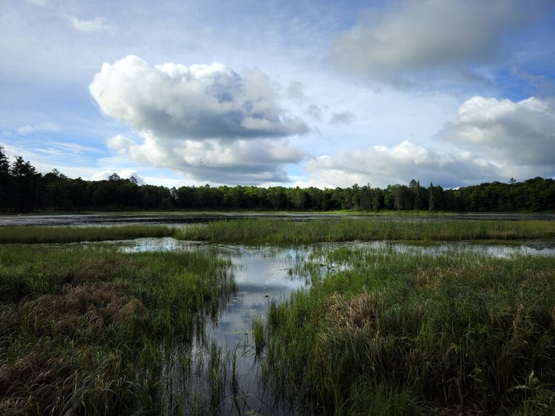 Allen Lake