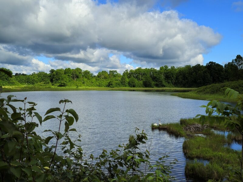 Deer Park Lake