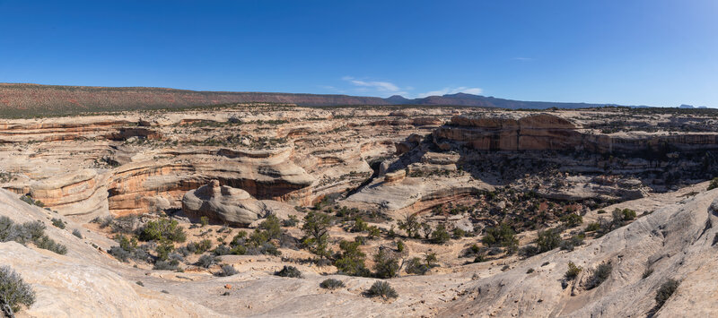 Panorama of White Canyon.