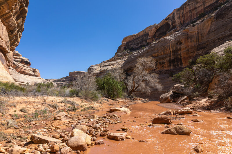 White Canyon