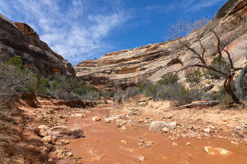 White Canyon