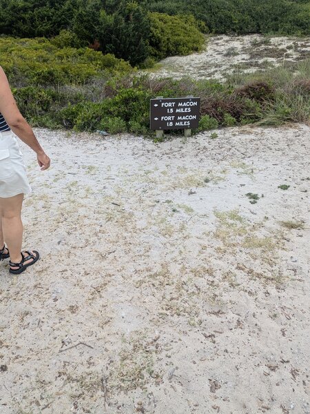 Fromt the picnic area, one can hike in either direction around the loop to reach the Visitor's Center at Fort Macon.