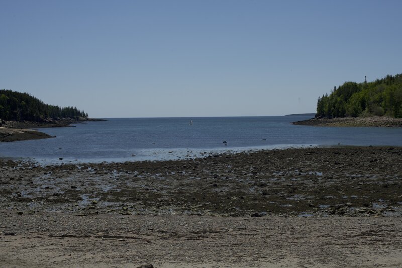 Otter Cove at low tide provides a great playground to explore tide pools and the shoreline when the tide is out (as shown here).   It is a popular place on the loop road for people to explore the coastline.