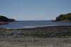 Otter Cove at low tide provides a great playground to explore tide pools and the shoreline when the tide is out (as shown here).   It is a popular place on the loop road for people to explore the coastline.