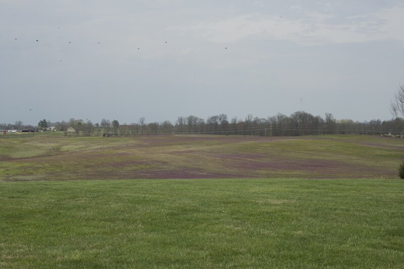 A look over the fields where the battle raged in January 1862.