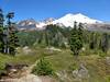 Mount Baker from Park Butte trail.