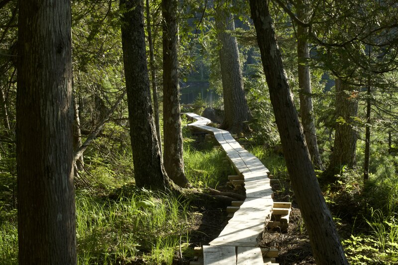 Raised logs allow for easy, dry walking around a large majority of the lake, especially the part close to the road.