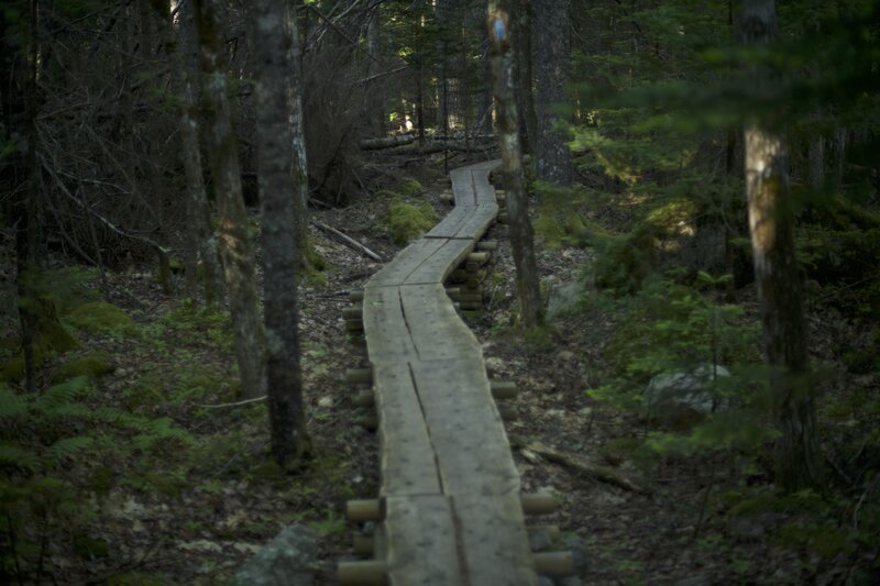 The trail makes its way along a log path through the woods for a short section, providing easy hiking by Acadia's standards.  This is private land, so please stay on the trail.