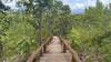 First section of the trail, stairway to the lower area.