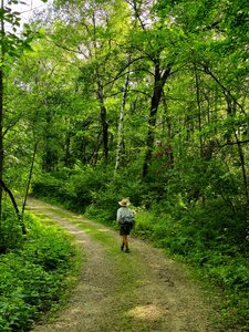 Up the old gravel road toward the top of the bluff.