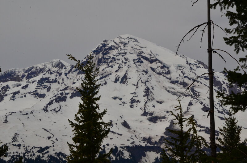 Mt. Rainier from prime viewpoint at highpoint of trail.