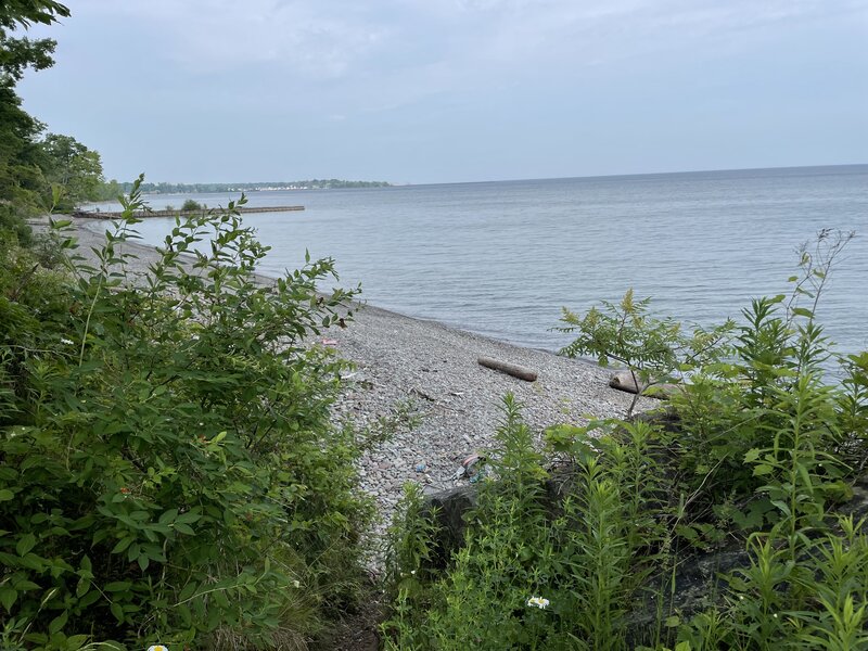 Looking back at "beach" from start of Woodland section.