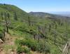 Looking south-east on the descent near the west end of the trail.  The trail is quite faint. Fire was in 2018.