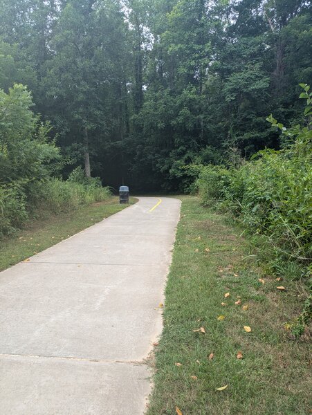 Greenway on Morgan Creek Trail.