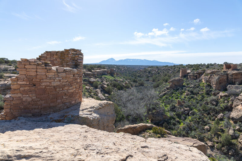 View from Tower Point down Square Tower Canyon with the Ute Mountains in the background.