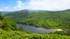 Beech Cliff Trail