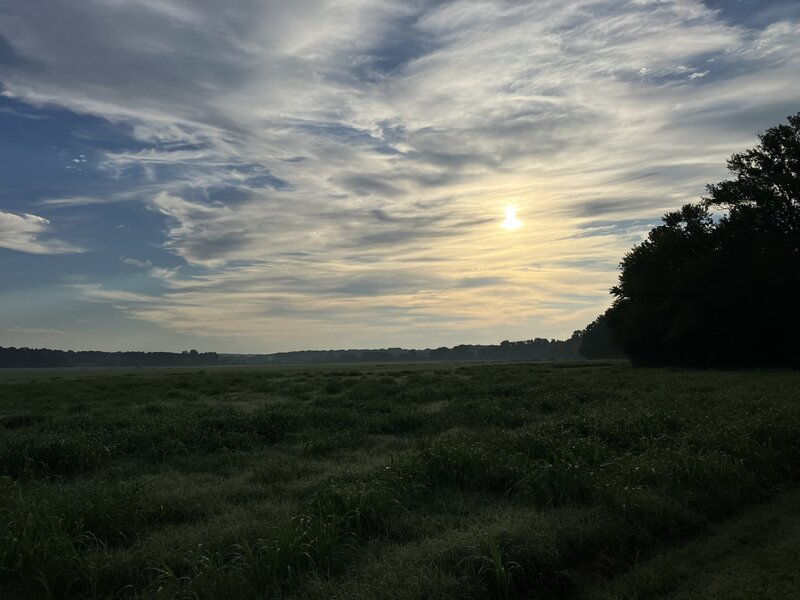 Sunrise at the end of the field.