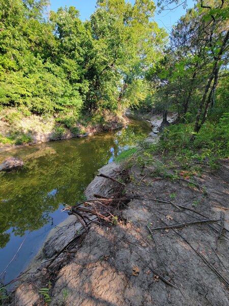 The creek bed was accessible from one spot on the trail, but  it was steep and difficult. Worth it!