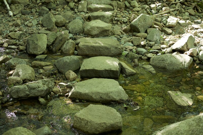 The trail crosses Kebo Brook via some strategically placed rocks that allow for easy rock hops.