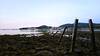 Looking at Bar Harbour from Bar Island before sunrise.