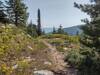 Summer wildflowers and views to the east, abound high on Fault Lake Trail.