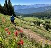 Looking south over alpine meadows full of wildflowers.