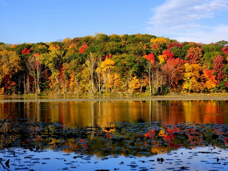 Fall colors in October at Lone Lake.