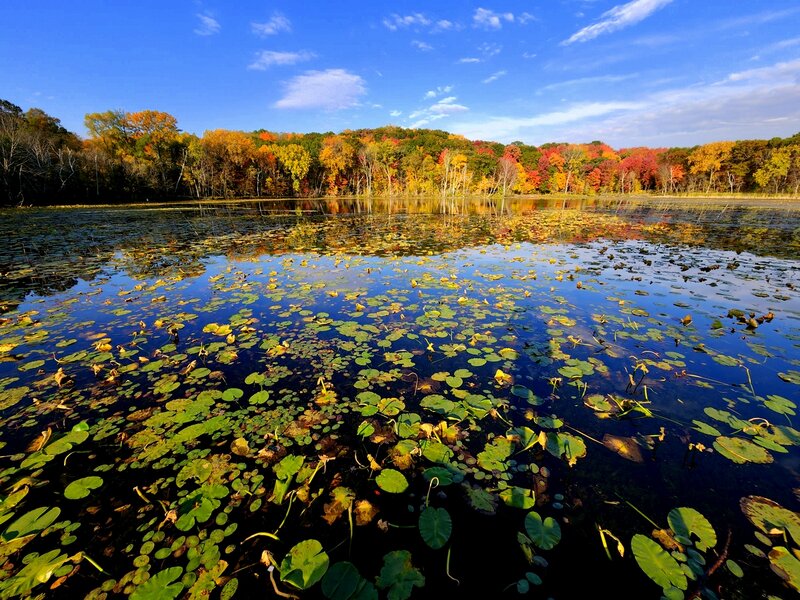 Fall colors at Lone Lake