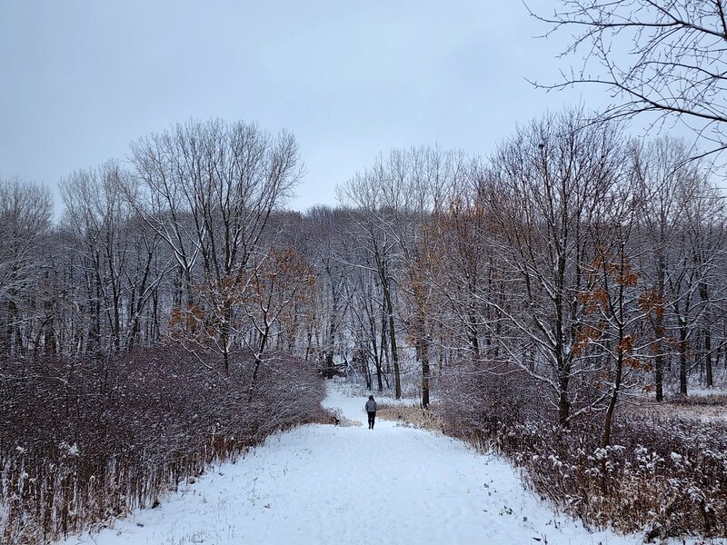 In the Nine Mile Creek drainage in winter.