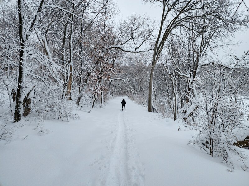 Snowshoeing at Lone Lake