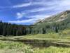 Main beaver pond in late July. Abundant wildflowers around northern edge can be traversed via an unofficial loop trail.