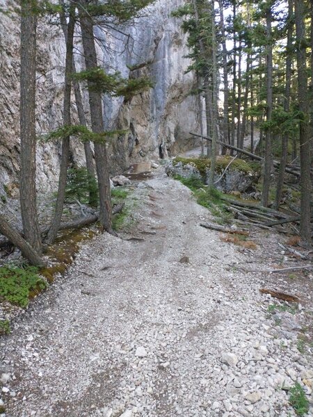 Singletrack trail!