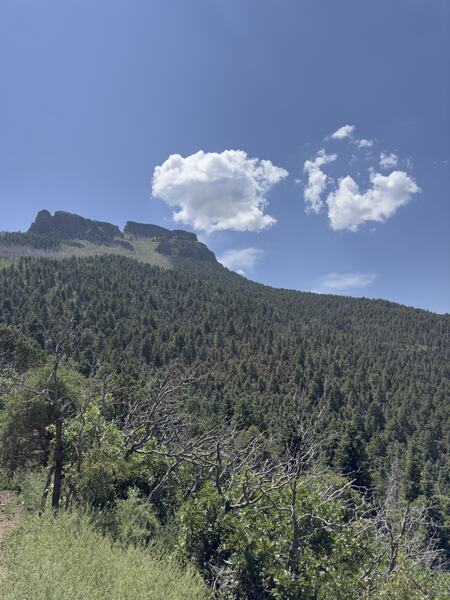 Summit view from shady forest section.