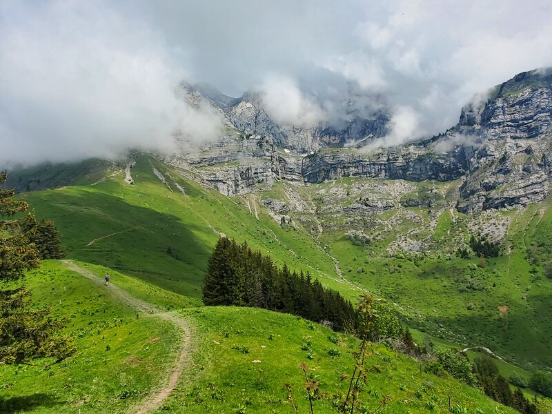 Views towards La Tournette.