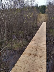 The wetland walkway.
