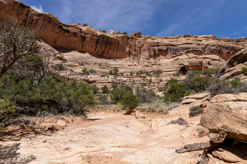 The imposing walls of Slickhorn Canyon.