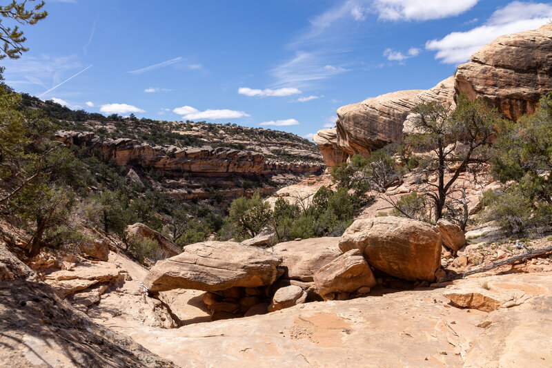 Slickhorn Canyon starts to widen in earnest.