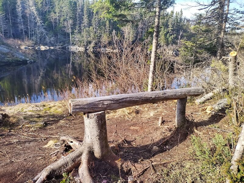 Banc en billot en amont de la chute à l'Outarde.               Log bench upstream of the "Outarde" waterfall.