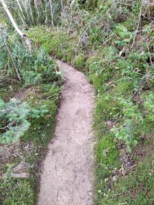 Sandy trail