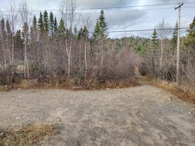 Entré du sentier à partir de la 138/ Start of the trail on the north side of Road 138.