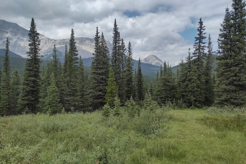 Rugged, nearby mountains, as the trail crosses meadows amid the forests.