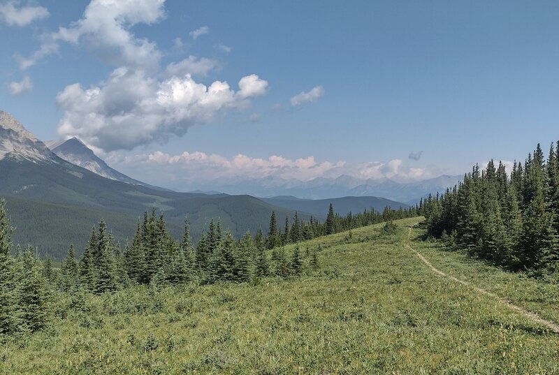 Hiking a high ridge just south of Etherington Creek, rugged mountains, faintly seen, stretch into the far distance to the north.